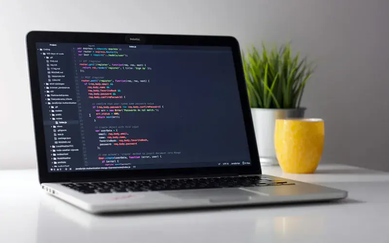 Custom web application development with React, Next.js and TypeScript